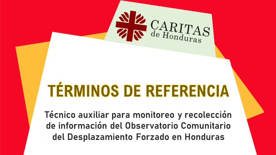 TdR: Técnico auxiliar del Observatorio Comunitario del Desplazamiento Forzado en Honduras